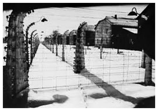 Figure 2. Auschwitz photograph, Encyclopedia of Holocaust