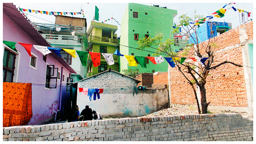 Figure 5 – Les drapeaux de prières tibétains sont utilisés comme des marqueurs spatiaux de la localisation des « Tibetans settlements. Crédit photo Fabienne Le Houérou, 2013.