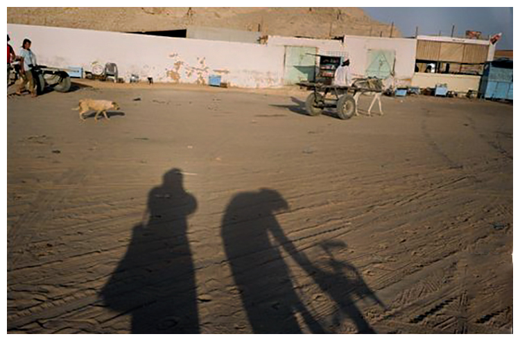 Le pèlerinage en images. Expérience d’un tournage chez les Regraga dans le sud-marocain : Les Chemins de la Baraka (2004 – 2007)