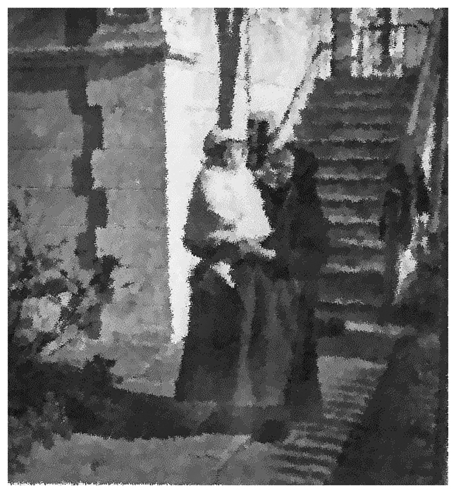 Photograph 7. Amalia, dressed in white fur, in the arms of her nanny in front of their neo-classic family house.