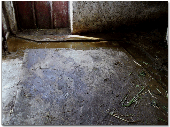 Figure 25 : Hygiène des bâtiments. Ici, le mauvais état des bâtiments a été apprécié par l'état du sol, la qualité de la litière et par son humidité, la présence de déjections.