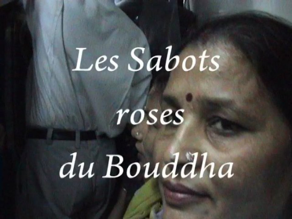Fabienne Le Houérou, Les sabots roses du Bouddha​